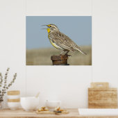 B6 Western Meadowlark Poster (Küche)