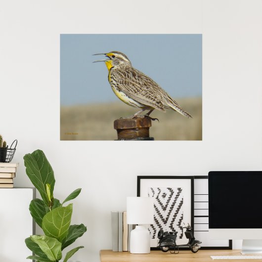 B6 Western Meadowlark Poster (Heimbüro)