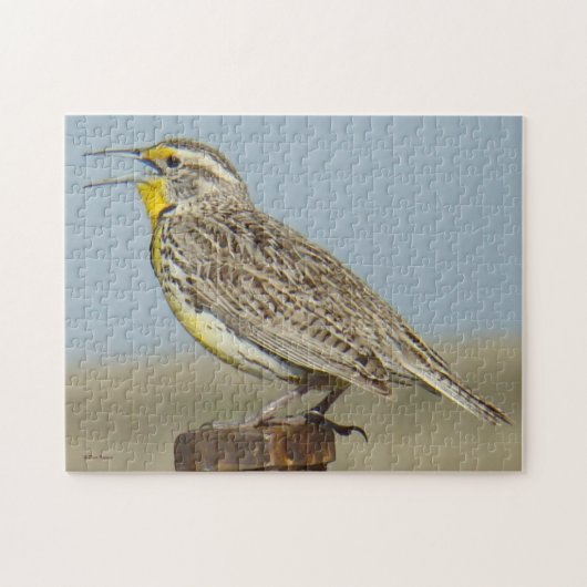 B6 Western Meadowlark Puzzle (Horizontal)