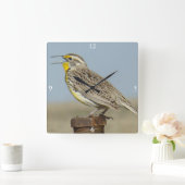B6 Western Meadowlark Quadratische Wanduhr (Zuhause)