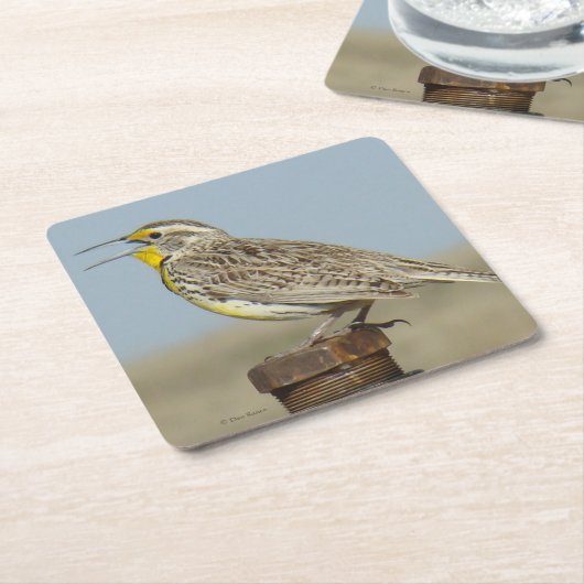 B6 Western Meadowlark Rechteckiger Pappuntersetzer (angewinkelt)