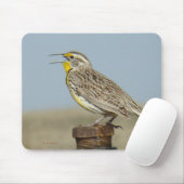 B6 Wiesenstärling Mousepad (Mit Mouse)