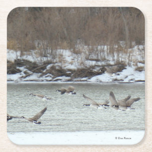 B7 Kanadagänse über dem Winter River Rechteckiger Pappuntersetzer
