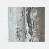B7 Kanadische Gänse über Frozen Fleecedecke (Vorderseite (Horizontal))
