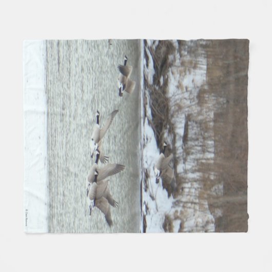 B7 Kanadische Gänse über Frozen Fleecedecke (Vorderseite (Horizontal))