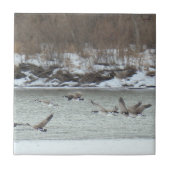 B7 Kanadischer Gänse im Flug Fliese (Vorderseite)