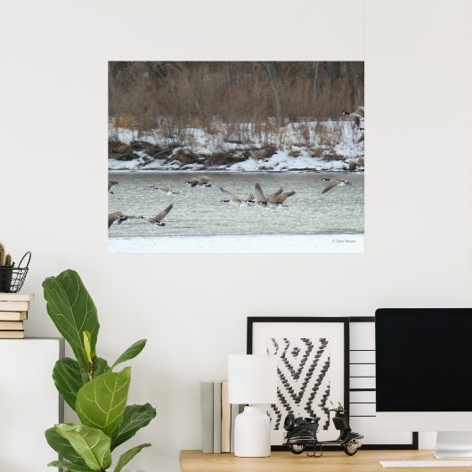 B7 Kanadischer Gänse im Flug Poster (Heimbüro)