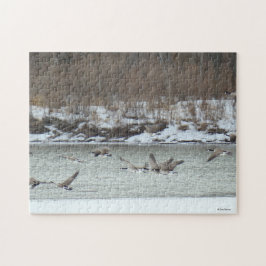 B7 Kanadischer Gänse im Flug Puzzle