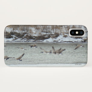 B7 Kanadisches Gänse Case-Mate iPhone Hülle