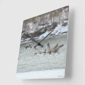 B7 Kanadisches Gänse Quadratische Wanduhr (Winkel)