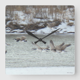 B7 Kanadisches Gänse Quadratische Wanduhr