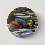 B8 Eared Grebe Courting Button (Vorderseite)