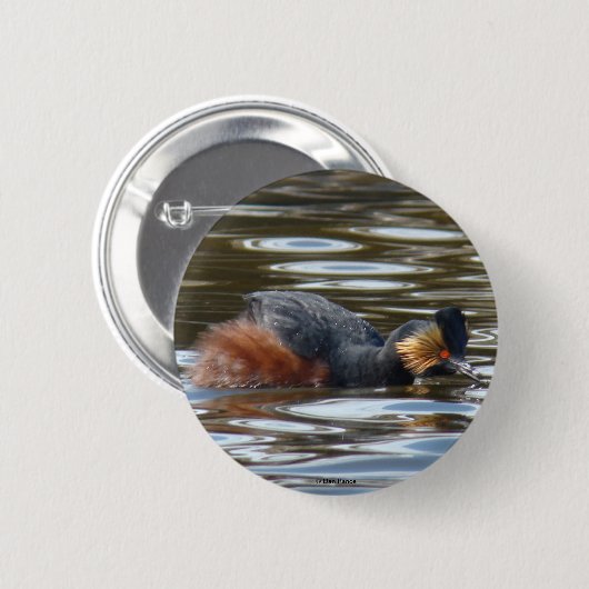 B8 Eared Grebe Courting Button (Vorne & Hinten)