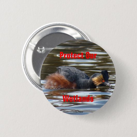 B8 Eared Grebe Courting Button (Vorne & Hinten)