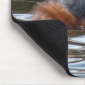 B8 Eared Grebe Courting Mousepad (Ecke)