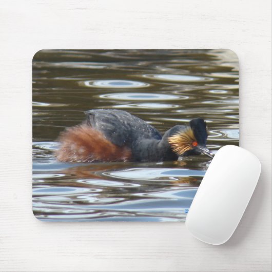 B8 Eared Grebe Courting Mousepad (Mit Mouse)