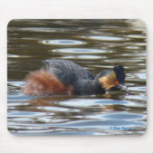 B8 Eared Grebe Courting Mousepad (Vorne)