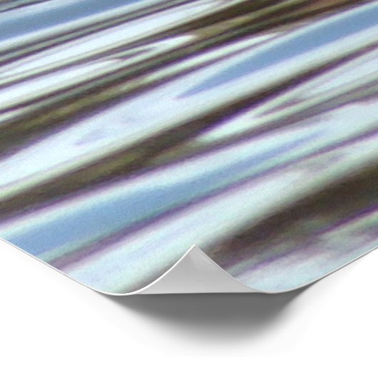 B8 Eared Grebe Courting Poster (Ecke)