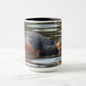 B8 Eared Grebe Courting Tasse (Zentrum)