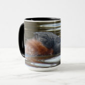 B8 Eared Grebe Courting Tasse (Vorderseite Links)