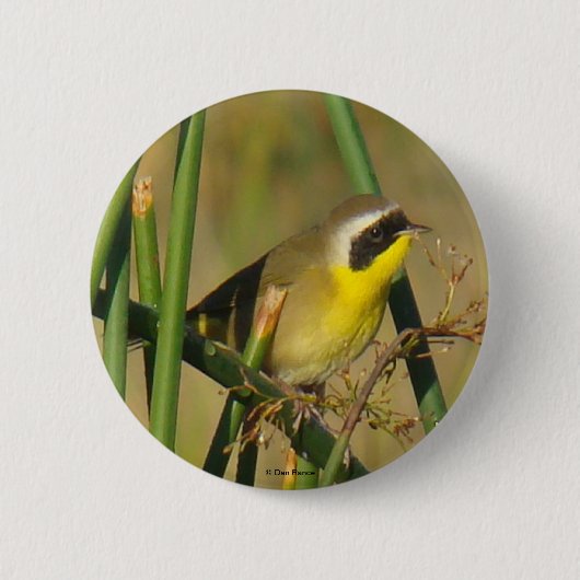 B9 Gelbthrop Button (Vorderseite)