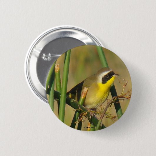 B9 Gelbthrop Button (Vorne & Hinten)