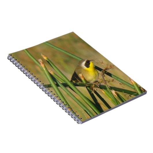 B9 Gelbthrop Notizblock (Rechte Seite)