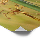 B9 Gelbthrop Poster (Ecke)