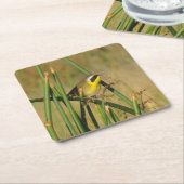 B9 Gelbthrop Rechteckiger Pappuntersetzer (angewinkelt)