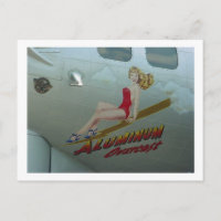 B-17 "Aluminium Overcast" Nose Art