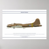 B-17G Israel 1 Poster (Vorne)