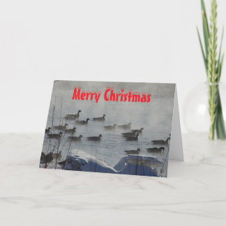 B 49 Canada Geese on Foggy River Christmas Card Dankeskarte