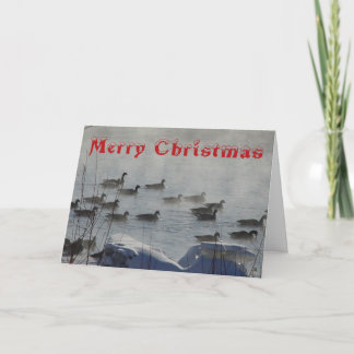 B 49 Canada Geese on Foggy River Christmas Card Dankeskarte