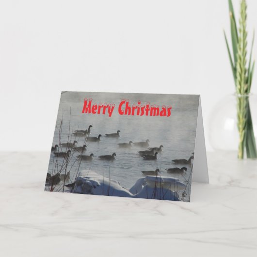 B 49 Kanadagänse auf einer Weihnachtskarte mit neb Dankeskarte (Vorderseite)