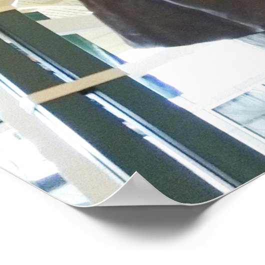 B.B. King Statue - Memphis (Tennessee) Poster (Ecke)