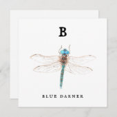 ‚B‘ Blue Darner (Vorne/Hinten)