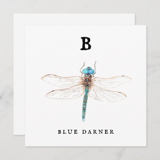 "B" Blue Darner Flachkarte (Vorne/Hinten)