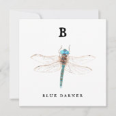 "B" Blue Darner Flachkarte (Vorderseite)