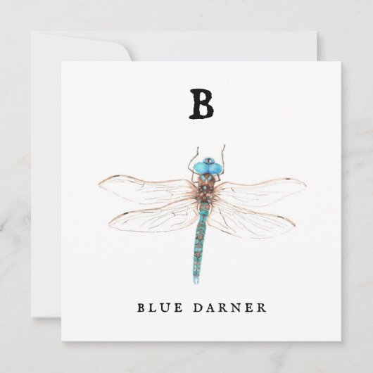 "B" Blue Darner Flachkarte (Vorderseite)