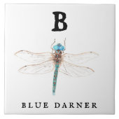 ‚B‘ Blue Darner Fliese (Vorderseite)