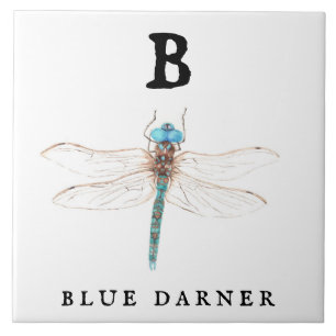 ‚B‘ Blue Darner Fliese