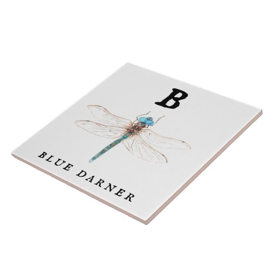 ‚B‘ Blue Darner Fliese (Seite)