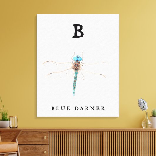 ‚B‘ Blue Darner Leinwanddruck (Insitu (Wohnzimmer))