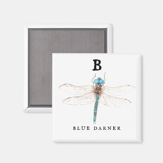 ‚B‘ Blue Darner Magnet (Vorderseite/Rückseite)