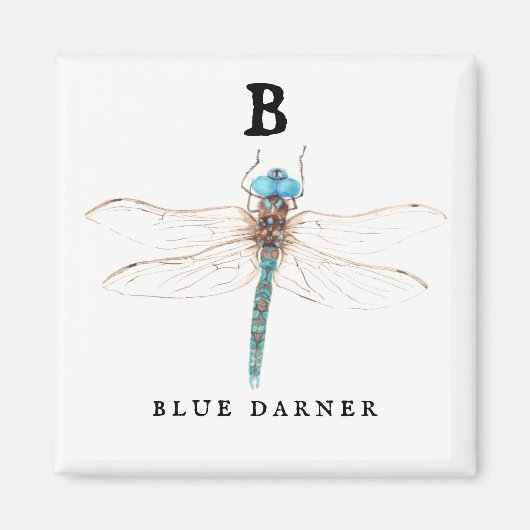 ‚B‘ Blue Darner Magnet (Vorne)