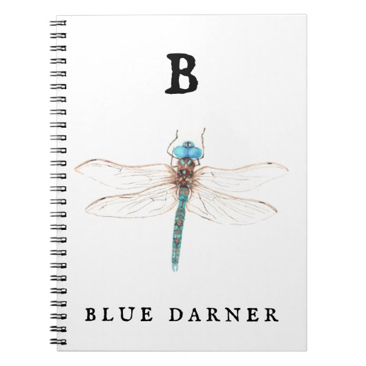 ‚B‘ Blue Darner Notizblock (Vorderseite)