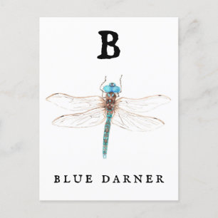 ‚B‘ Blue Darner Postkarte