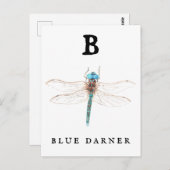 ‚B‘ Blue Darner Postkarte (Vorne/Hinten)