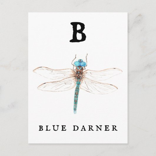 ‚B‘ Blue Darner Postkarte (Vorderseite)