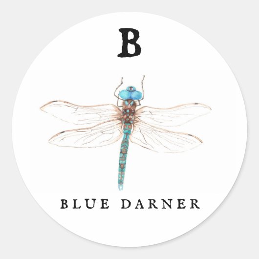‚B‘ Blue Darner Runder Aufkleber (Vorderseite)